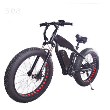 rechargeable lithium ebike battery/removable electric bicycle motor/retail security devices